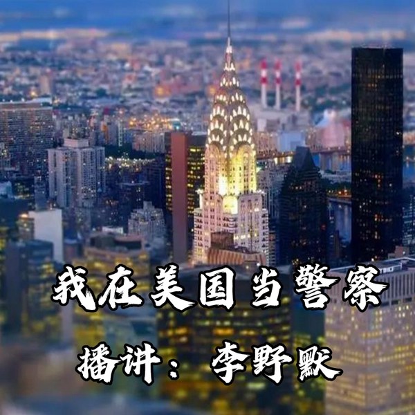 我在美国当警察|爱情故事|都市生活|免费有声小说