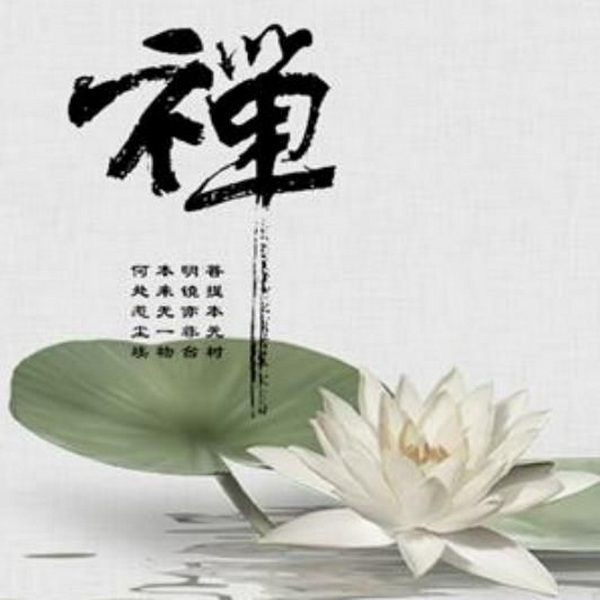 禅悟人生|励志经典语录