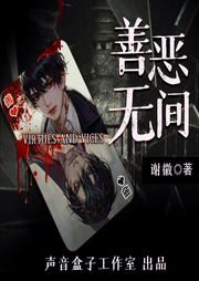 善恶无间|悬疑|刑侦|反腐|推理|精品多人剧-佚名-声音盒子工作室