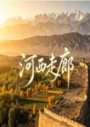 河西走廊--辣条兄弟