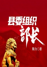县委组织部长丨大尺度|机关单位|官场情色多人-斯力-一路听天下