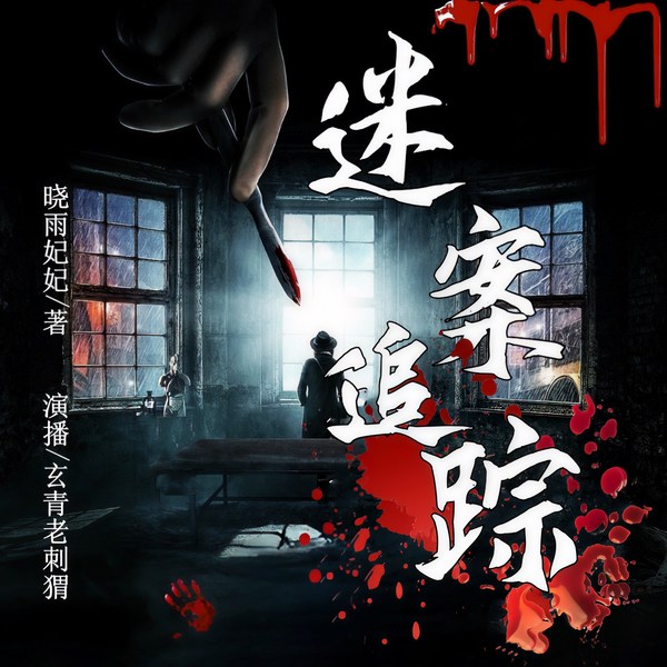 谜案追踪|悬疑推理|长篇刑侦|悬爱