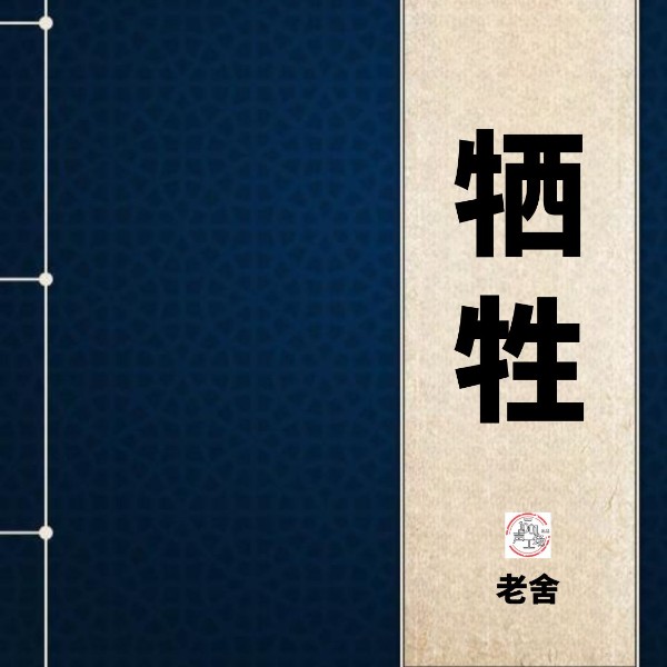 牺牲|老舍作品