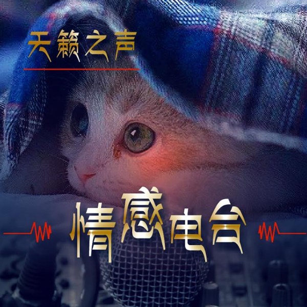 天籁之声情感电波