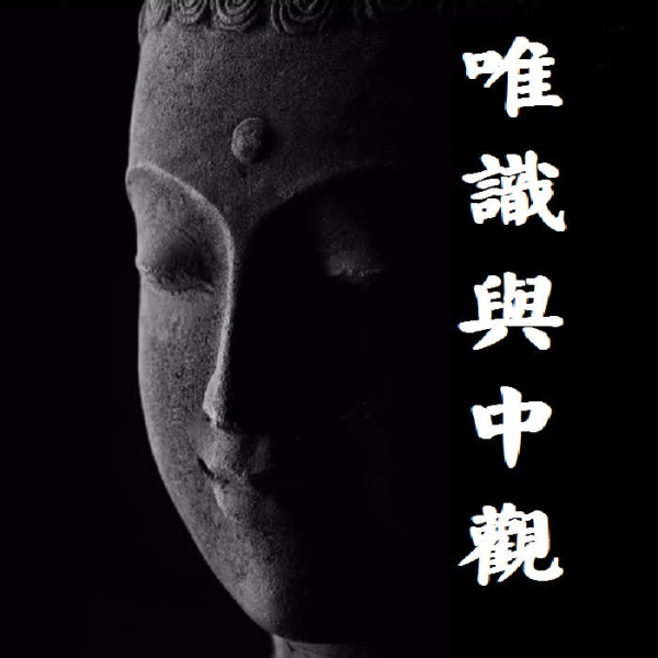 唯识中观上