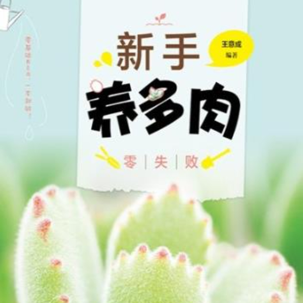 新手养多肉零失败
