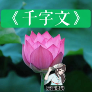 《千字文》全文解读/国学经典启蒙读物--辰露-