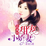 总裁的甜宠小娇妻