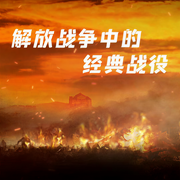 解放战争中的经典战役-佚名-播音寒冰