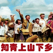 知青上山下乡密档|影响中国历史的大事|新中国历史故事--喜马拉雅