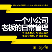 一个小公司老板的日常管理-佚名-主播天下书盟