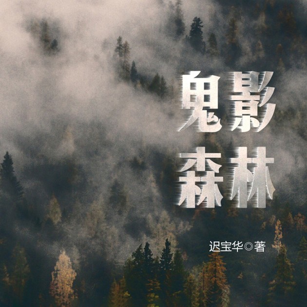 鬼影森林-迟宝华-磨铁图书