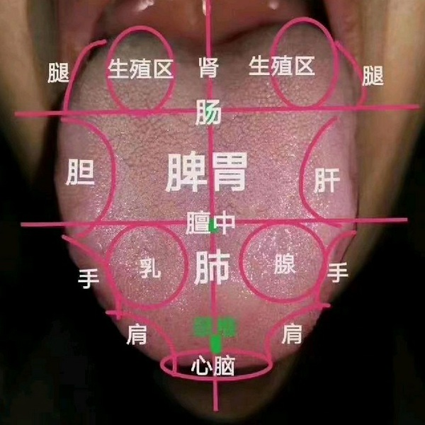 中医舌诊大全|简单实用|一学就会|健康必备