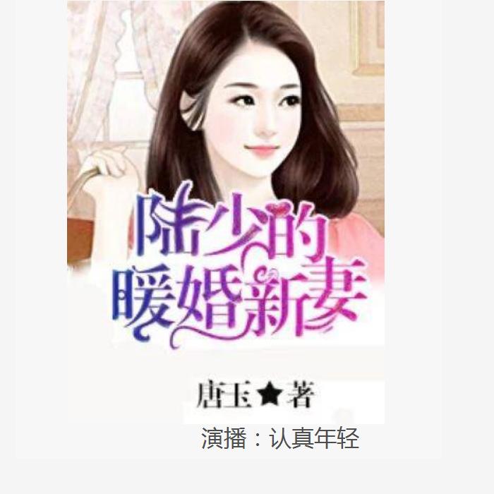 陆少的暖婚新妻图片