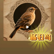 秭归鸟|刀郎歌曲|》深度解读-佚名-七龙珠