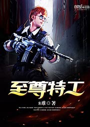 至尊特工（上部完结）