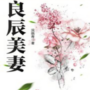 良辰美妻-佚名-老貓清音