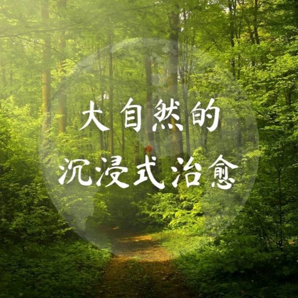 走近大自然深处聆听美妙的叫声
