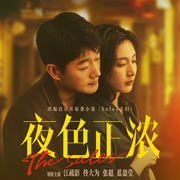 sales夫妇|夜色正浓原著|江疏影&佟大为主演-右耳-子卿的书屋