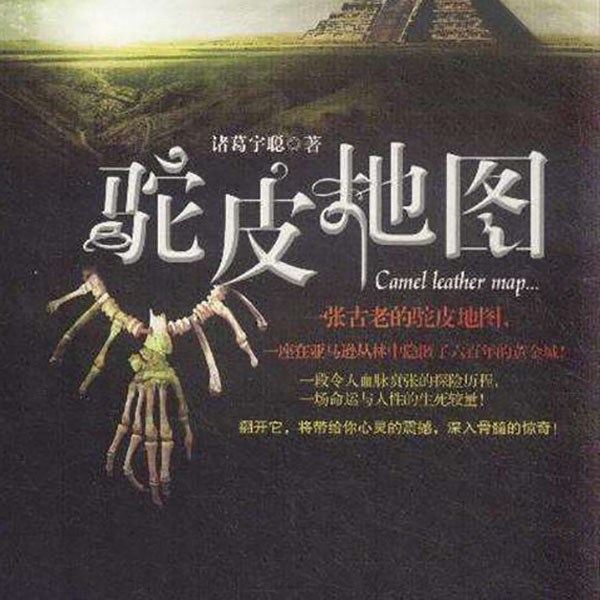 驼皮地图