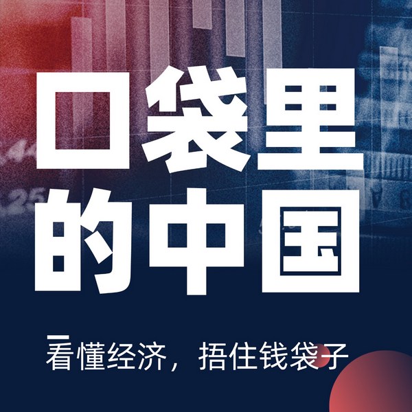 口袋里的中国|读懂中国经济|看懂经济|捂住钱袋子