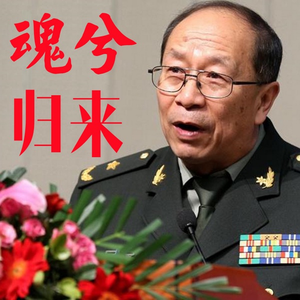 魂兮归来|金一南