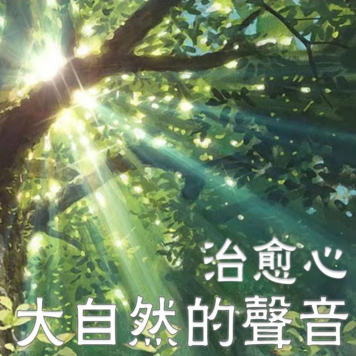 大自然声音助眠 | 深度睡眠催眠 | 安神清心--浅浅清风_-