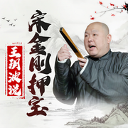 王玥波：宋金刚押宝（36回）-佚名-主播王玥波