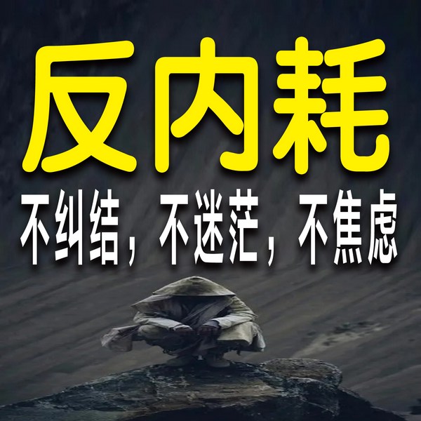 反内耗：不纠结，不迷茫，不焦虑