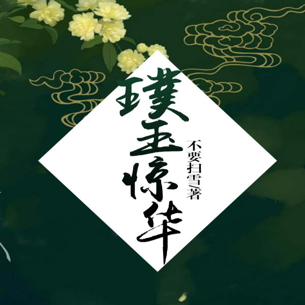 璞玉惊华