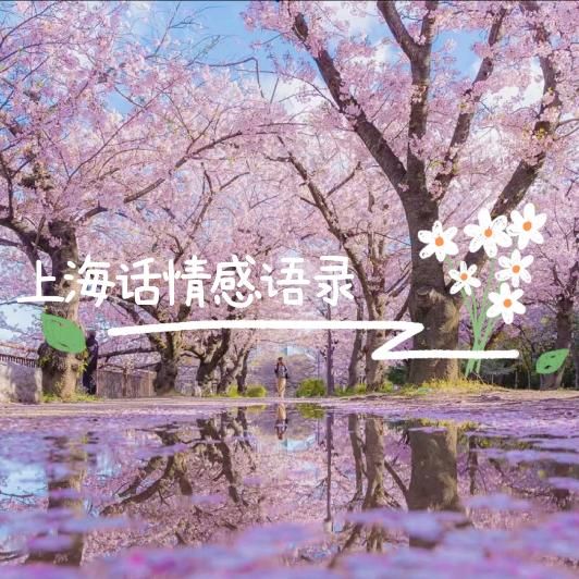 上海话情感语录--蔡汐汐-佚名