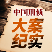 中国刑侦大案纪实：真实情杀谋杀凶杀案犯罪-林作良-大吕说文史