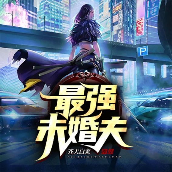 婚后不让碰，我提离婚又哭又闹|赘婿逆袭|高手回归|异能复仇爽-齐天白菜-广东畅读