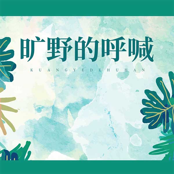 旷野的呼喊