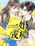 一婚成瘾-沿之残梦-西夏，木子