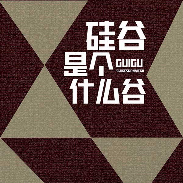 硅谷是个什么谷