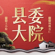 县委大院|胡歌主演影视原著|王小枪著|官场|宦途|精品多播--喜马拉雅