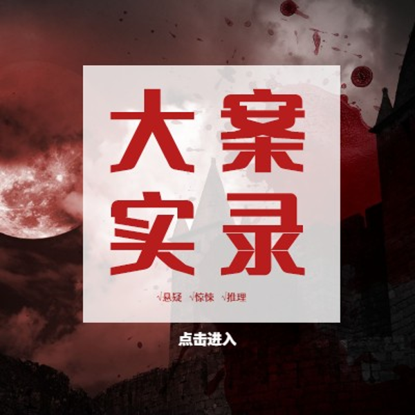 大案实录