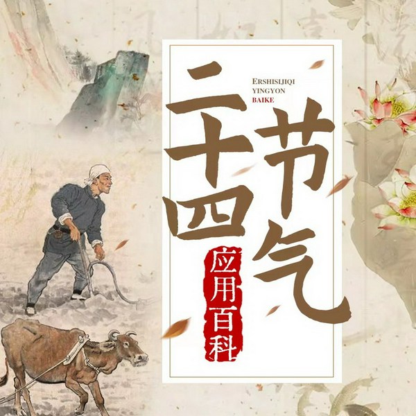 二十四节气应用百科|感知自然节气变化，汲取精华颐养身心|养生 中华民俗