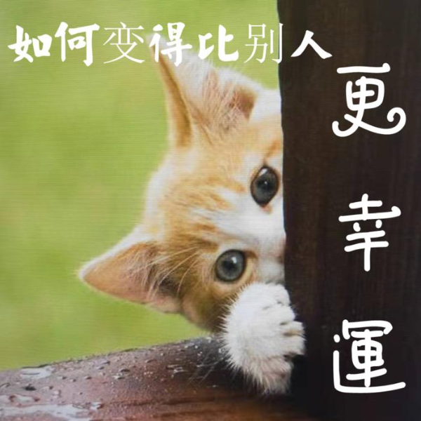 你如何变得比别人幸运(完结)