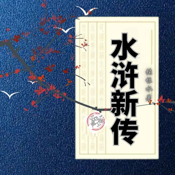 水浒新传|张恨水作品