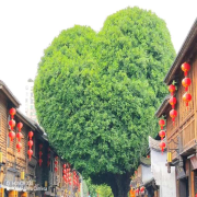 有福之州--铭浩轩-