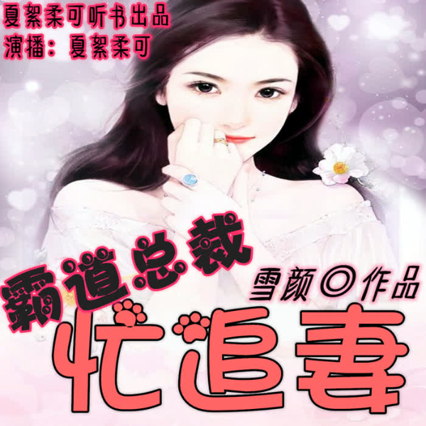 总裁追妻有点忙