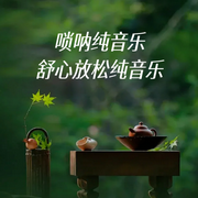 唢呐纯音乐：舒心放松轻音乐-佚名-主播李添兵