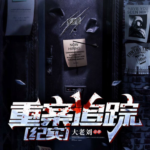 重案追踪|大老刘