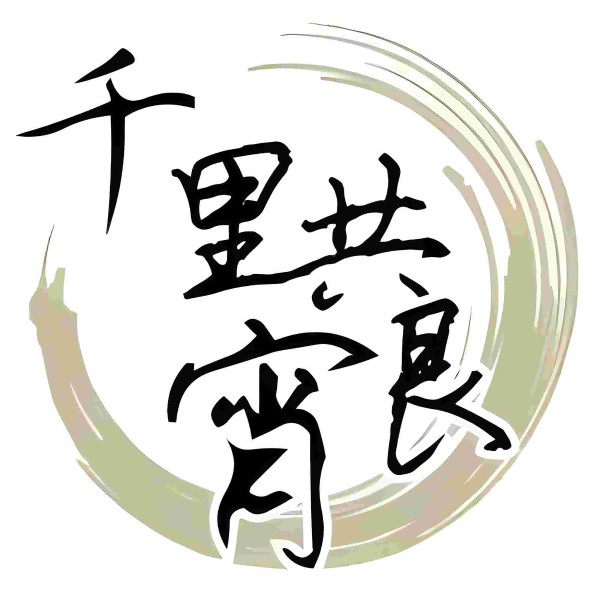 《千里共良宵》2010年