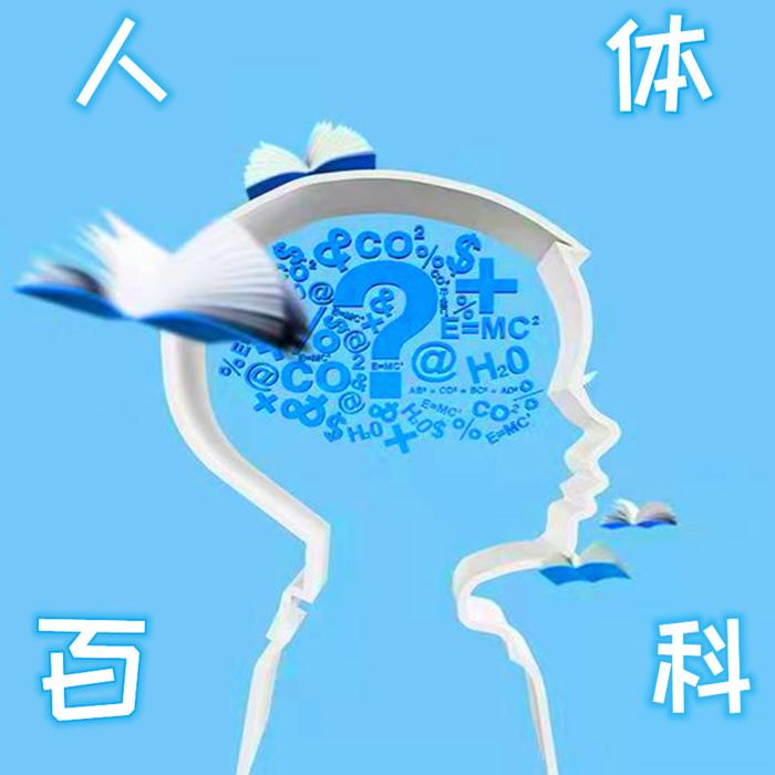 人体百科--大脸喵-