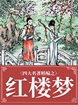 四大名著精编之红楼梦-王传林-王传林