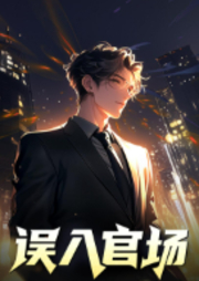 误入官场|权谋|草根崛起|升迁逆袭|共同富裕|单女主|多人有声剧-可大可小-中二的半仙