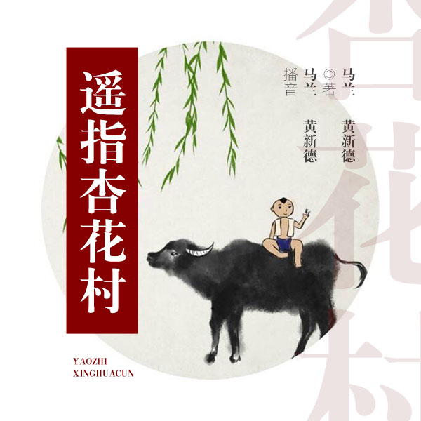 电视剧：遥指杏花村